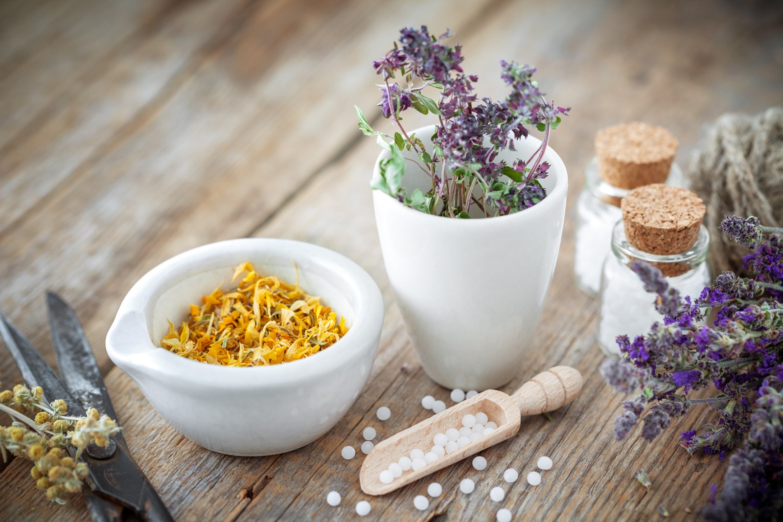Naturopathie animale : plantes, Fleurs de Bach et granules